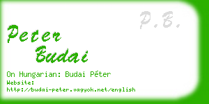 peter budai business card
